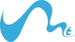 Metaste Logo